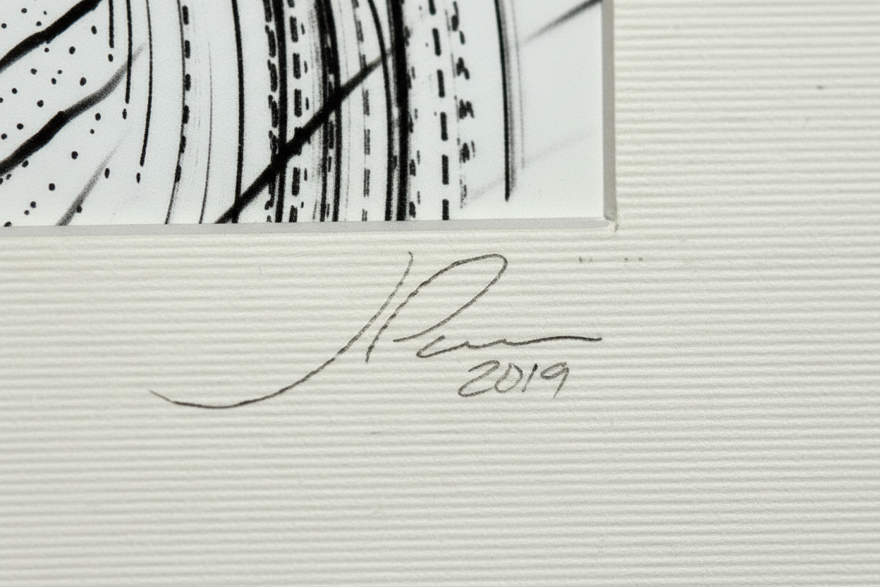 Artist's Proof (AP) – Vector Field With Light And Dotted Line