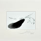 Jose Penm Black ink feather on a white background with a signature at the bottom right corner.