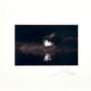 Jose Penm Black and white abstract artwork with a signature at the bottom right corner.