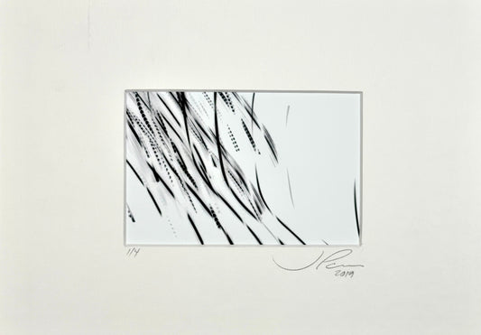 Jose Penm Abstract black and white artwork on a light gray background