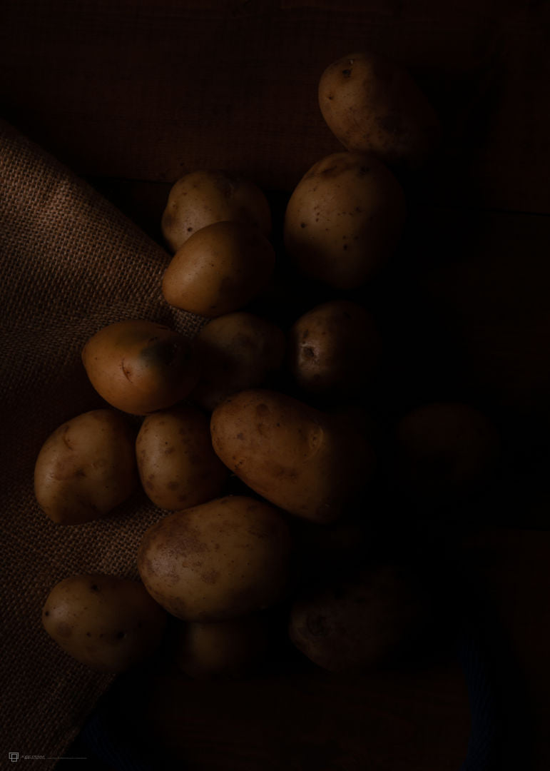 Freshly Picked Potatoes 1