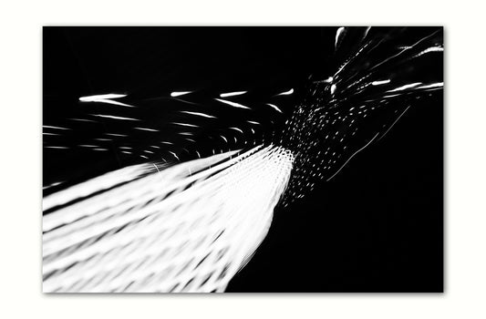 KINETIC EXPRESSION 102 Limited Edition: 250 Prints