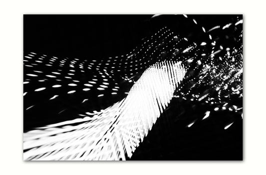 KINETIC EXPRESSION 105 Limited Edition: 250 Prints